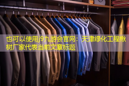 天津绿化工程楸树厂家